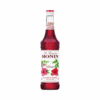 monin-hibiscus-syrup