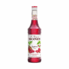 monin-raspberry-syrup